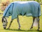 Ooteman Paardensport