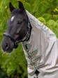Ooteman Paardensport