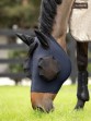 Ooteman Paardensport