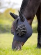 Ooteman Paardensport