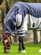 Ooteman Paardensport