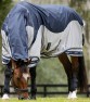 Ooteman Paardensport