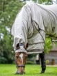 Ooteman Paardensport