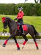 Ooteman Paardensport