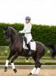 Ooteman Paardensport