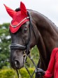 Ooteman Paardensport