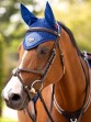Ooteman Paardensport