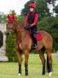 Ooteman Paardensport