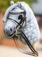 Ooteman Paardensport