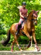 Ooteman Paardensport
