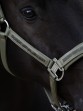 Ooteman Paardensport