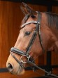 Ooteman Paardensport