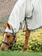 Ooteman Paardensport