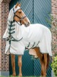 Ooteman Paardensport