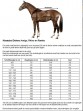 Ooteman Paardensport