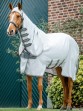 Ooteman Paardensport