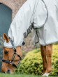 Ooteman Paardensport
