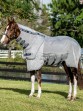 Ooteman Paardensport