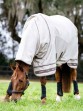 Ooteman Paardensport