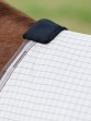 Ooteman Paardensport