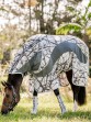 Ooteman Paardensport