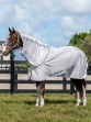 Ooteman Paardensport