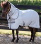 Ooteman Paardensport