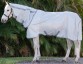 Ooteman Paardensport
