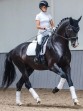 Ooteman Paardensport