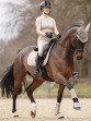 Ooteman Paardensport