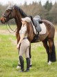 Ooteman Paardensport