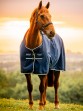 Ooteman Paardensport