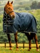 Ooteman Paardensport