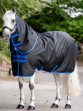 Ooteman Paardensport