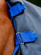 Ooteman Paardensport