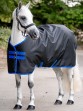 Ooteman Paardensport
