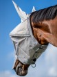 Ooteman Paardensport