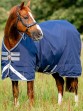 Ooteman Paardensport