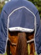 Ooteman Paardensport