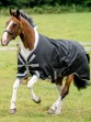 Ooteman Paardensport