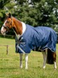 Ooteman Paardensport