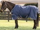 Ooteman Paardensport