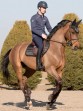 Ooteman Paardensport