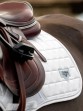 Ooteman Paardensport