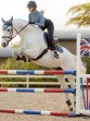 Ooteman Paardensport