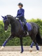Ooteman Paardensport