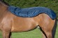 Ooteman Paardensport