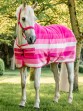 Ooteman Paardensport