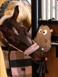 Ooteman Paardensport