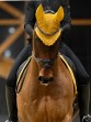 Ooteman Paardensport